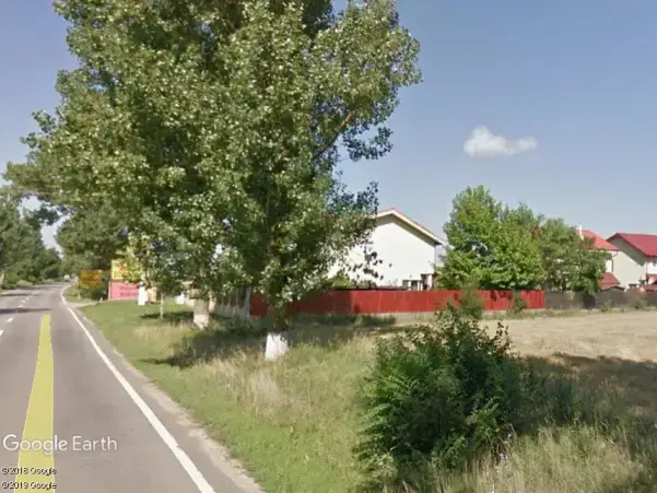 Teren Extins de Vânzare în Moara Vlăsiei, Ilfov – Zonă Mixtă cu Potențial de Dezvoltare - imaginea 2